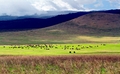 Craterngorongoro_