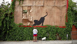 Un gato negro, nuevo miembro del «zoo de Londres» creado por Banksy.