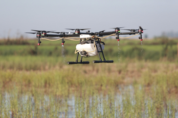 Drones se han incorporado a la lucha contra el mosquito en arrozales de la noche. En la imagen, La Puebla del Río (Sevilla).