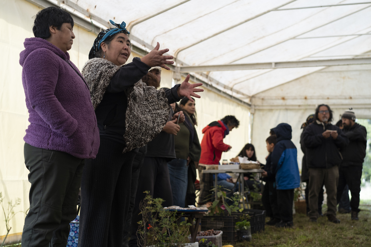 Trafkintu celebrado en la pampa de Koz Koz