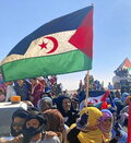 290824_opi_algerie