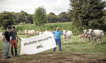 Le syndicat ELB a réussi à empêcher l’abattage du troupeau de la famille Sicre, à Espès-Undurein, en mettant en place un nouveau protocole.