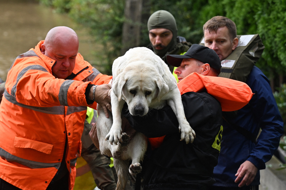 Personal de emergencuas y soldados polacos evacuan a residentes locales y a su perro en el pueblo de Rudawa, al sur de Polonia.