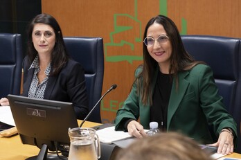 La consejera de Educación, Begoña Pedrosa, durante su comparecencia.