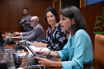 La consejera Nerea Melgosa ha anunciado hoy las medidas.