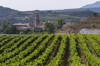 El excedente de vino sin vender de Rioja Alavesa asciende a 200 millones de litros.