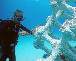 Ezkerrean, EMU-ak (Erosion Mitigation Unit); eskuinean, Living Seawall; eta beste orrialdean, MARS, (Moludar Artificial Reef Structure).  Honelako ekimenen bidez, itsasoko hiri egiturek suntsitu dituzten habitat naturalak berreskuratzen saiatzen dira.