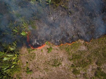 La deforestación de la Amazonia, uno de los mayores riesgos ambientales para el planeta.