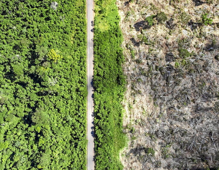 Una carretera cruza la selva amazónica.