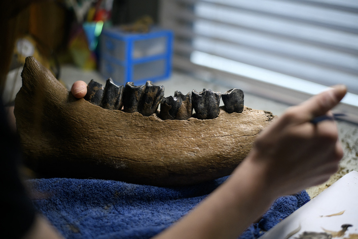 Una de las piezas en proceso de restauración.