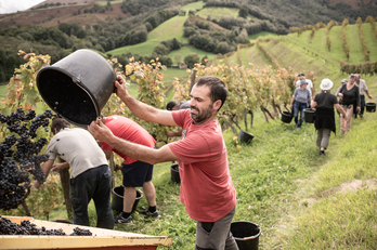 Sorlekua (lieu de naissance, en basque) est le nom de cette nouvelle cuvée bio. 