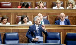 Fernando Grande-Marlaska, en la sesión de control al Gobierno el miércoles.