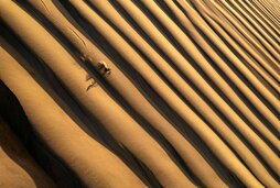 «The Dune» argazkiak CVCEPHOTOren hamargarren ekitaldia irabazi du.