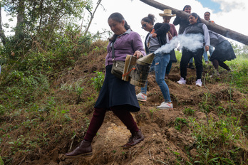 Miembros de Hojuelas de Miel.