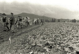 1977ko urriaren 16an ospatu zen lehen Kilometroak jaia Beasain eta Lazkao artean. Orduko irudiak dira hauek.