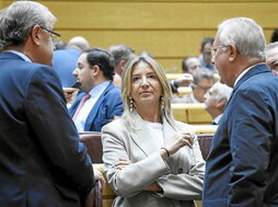 La portavoz del PP en el Senado, Alicia García, durante el pleno del pasado lunes.