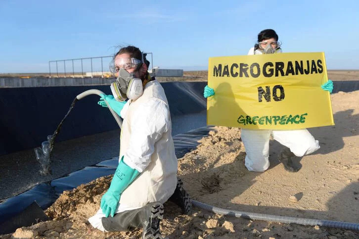 Protesta de Greenpeace contra la contaminación en la macrogranja de Caparroso.