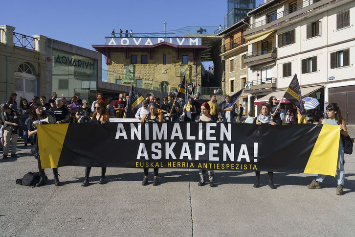 La concentración inicial, ante el Aquarium.