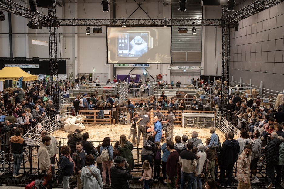 L’espace dédié aux travaux de la ferme a toujours autant de succès.