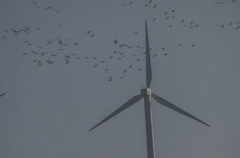 Uno de los nuevos proyectos para Araba es un parque eólico con seis aerogeneradores.