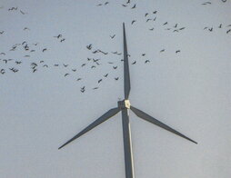 Uno de los nuevos proyectos es un parque eólico con seis aerogeneradores.