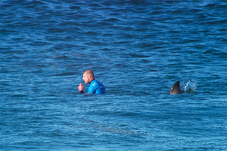 Marrazo batek Mick Fanning surflari profesioanla erasotu zuen 2015ean lehiatzen ari zenean.