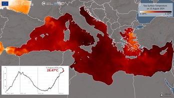 El Mediterráneo, al borde de los 30 grados este pasado agosto.