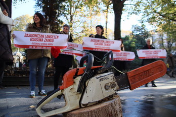 Concentración sindical ante la Diputación de Gipuzkoa para denunciar la mortalidad en el sector forestal. 