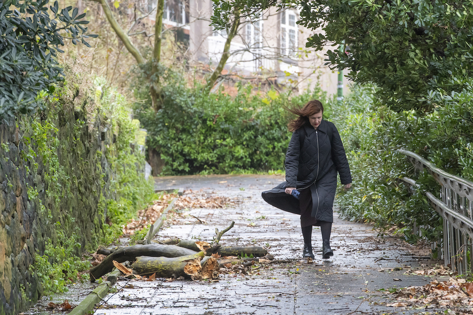 En varios puntos de Euskal Herria el viento ha roto ramas e incluso árboles. En la imagen, Getxo.