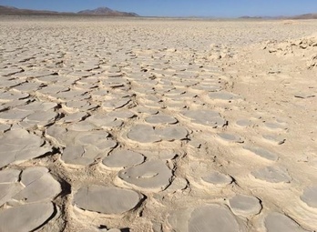 El estudio señala que las tierras áridas se han expandido por 4,3 millones de kilómetros cuadrados del planeta.