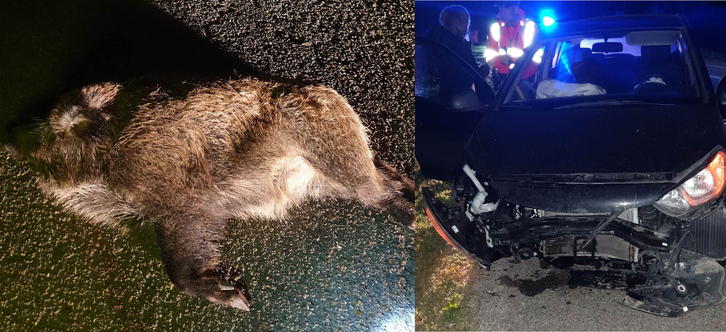 Accidente con un jabalí en la recta que une Arguedas con Tutera.