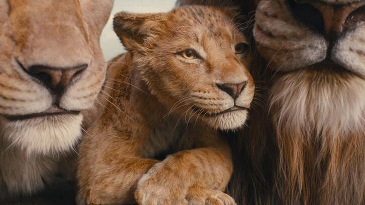 Fotograma de la película ‘Mufasa: El rey león’.