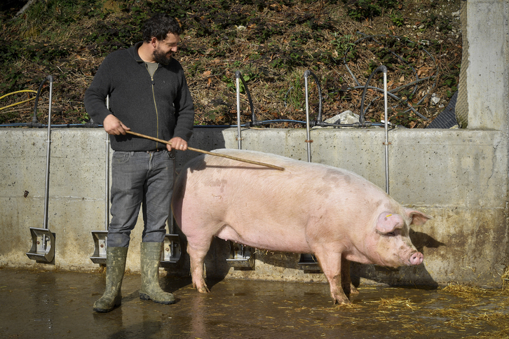 Kaxilda, criada en el caserío Arantzeta de Elgeta, será protagonista de la fiesta.