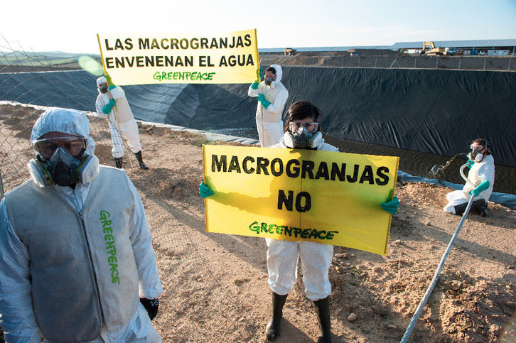 Imagen de la protesta de Greenpeace contra la contaminación en la macrogranja de Caparroso.