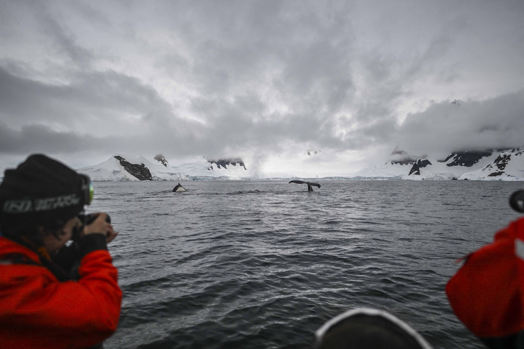 Sonidos en la Antártida: desde «naves espaciales» hasta cantos de ballenas