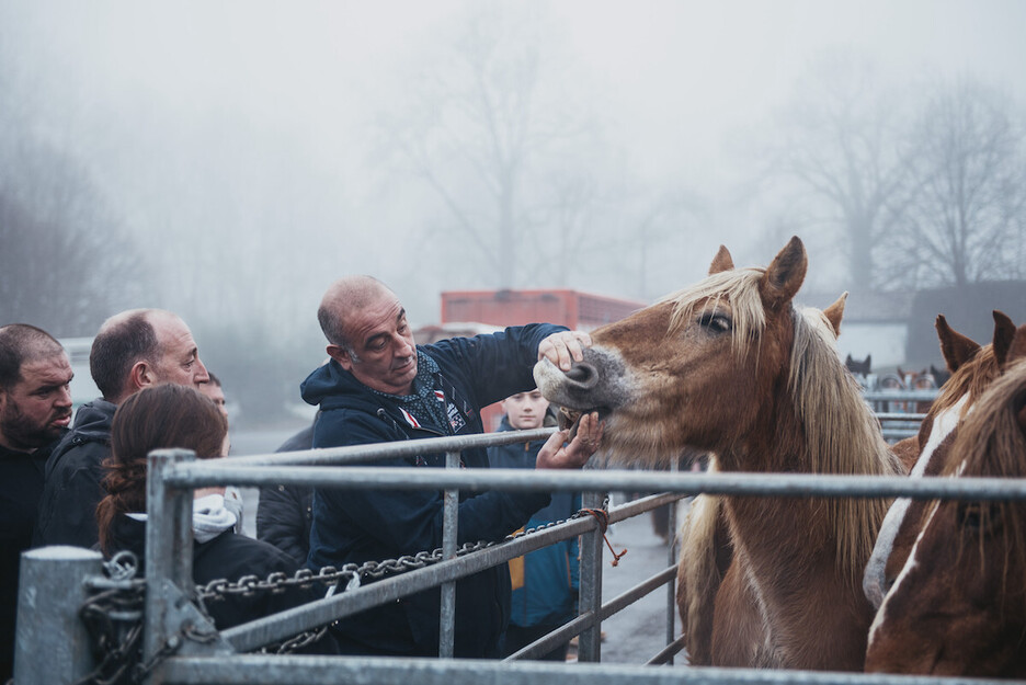 La foire au pottok a animé les rues d'Espelette le dernier week-end de janvier. 