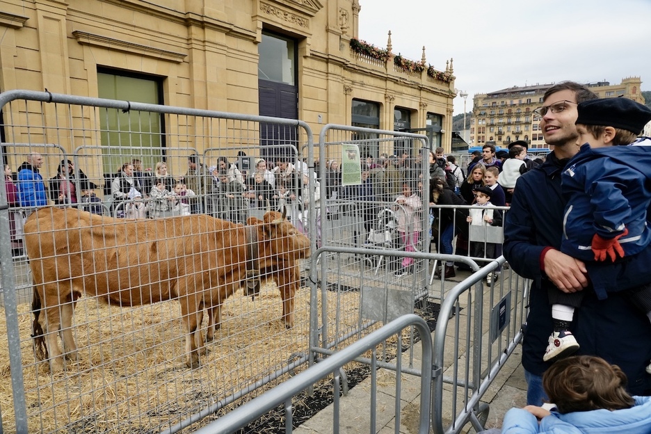 Baserriko produktuak eta animaliak Donostian.