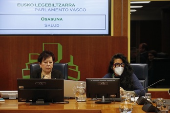 Isabelle Delgado, portavoz de la asociación Long Covid Euskal Herria, a la derecha.