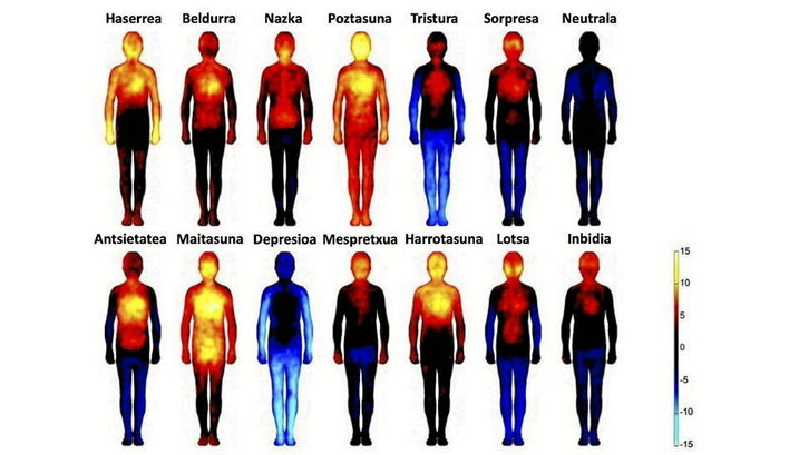 Irudi honetan ikus daiteke nola adierazten diren emozioak gure gorputzean.