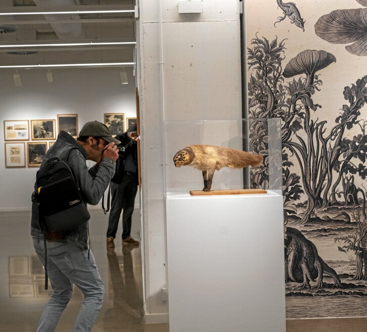 La muestra de Joan Fontcuberta se puede visitar hasta junio.