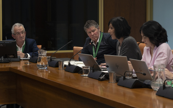 Jokin Azkue, director general de HABE, y Aitor Aldasoro, viceconsejero de Política Lingüística, han comparecido en la Comisión de Euskara del Parlamento de Gasteiz.
