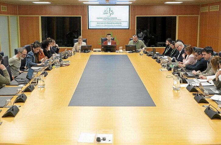 Imagen de la comisión en la que compareció el director de Gogora, Alberto Alonso.