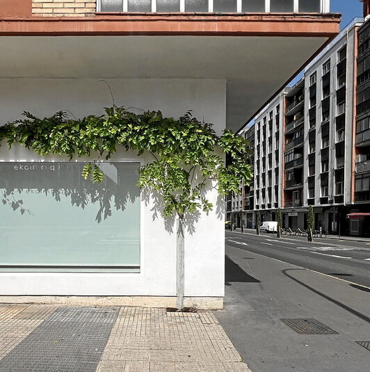 Parra bat Ekain Jimenezen estudioaren kanpoaldean.