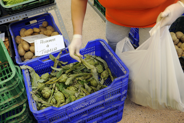 Los productores anuncia una «excelente calidad» de la alcachofa de Tutera.