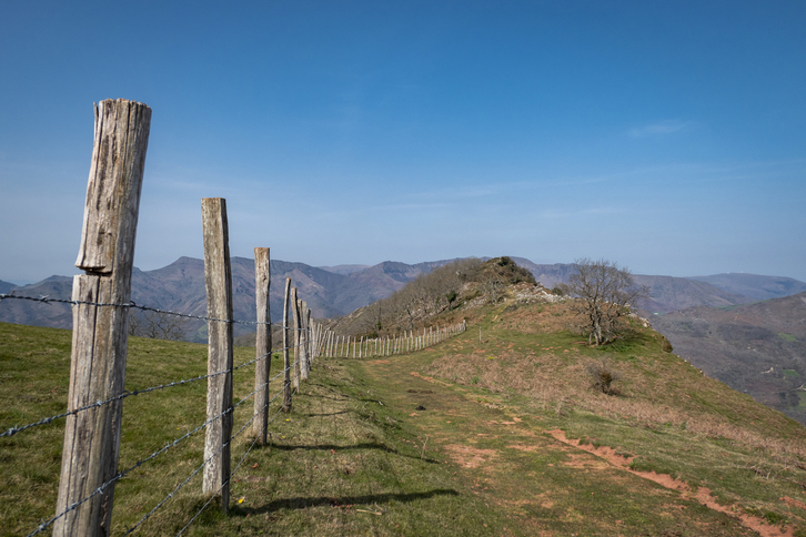 Gipuzkoari dagokionez, okupazioa %71ekoa izango dela aurreikusi da.