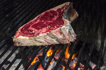 Proteina animalietan eta landareetan topatu daiteke.