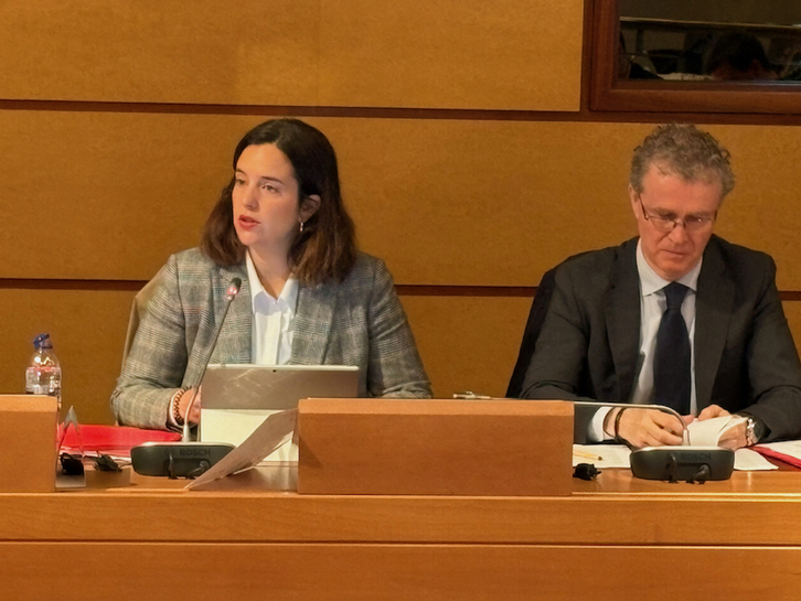 La diputada foral de Hacienda y Finanzas, Itxaso Berrojalbiz, junto al director de Hacienda.