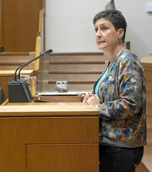 La parlamentaria de EH Bildu Itxaso Etxebarria llevó el tema al Parlamento.