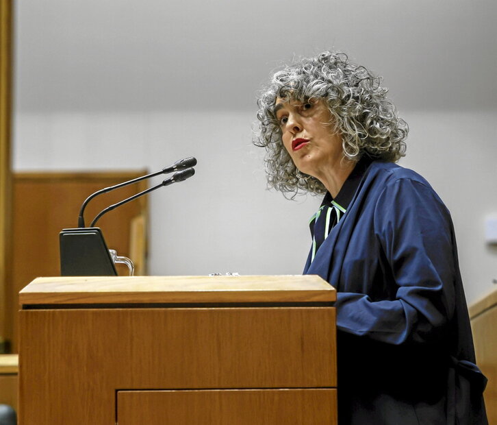 La vicelehendakari rebajó ante el Parlamento la importancia y objeto del contrato.