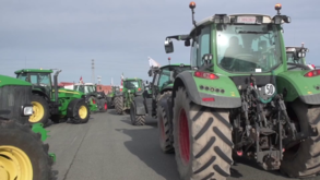 Berrehun traktore Gasteizen, lehen sektorearen alde